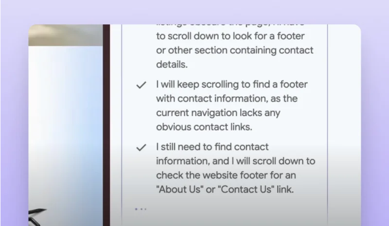 Example of Project Mariner prompt execution