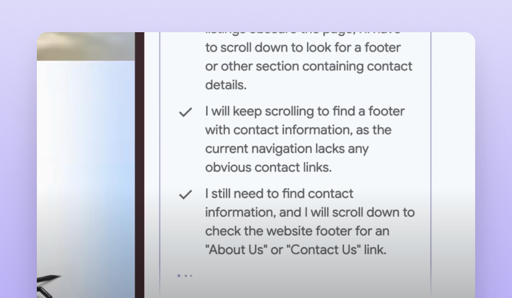Example of Project Mariner prompt execution