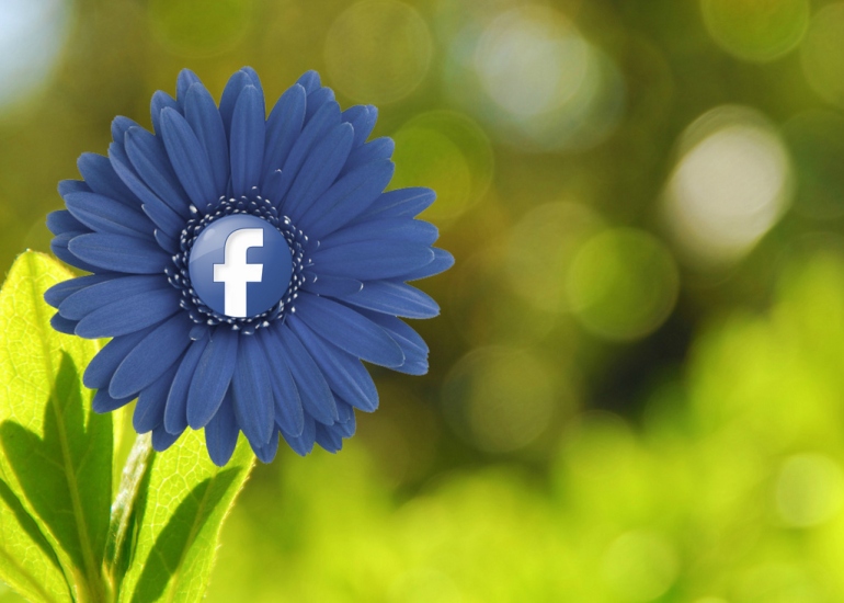 Facebook logo in a blue flower