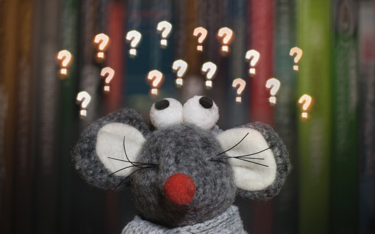 Confused mouse, consumer decision making and too much choice