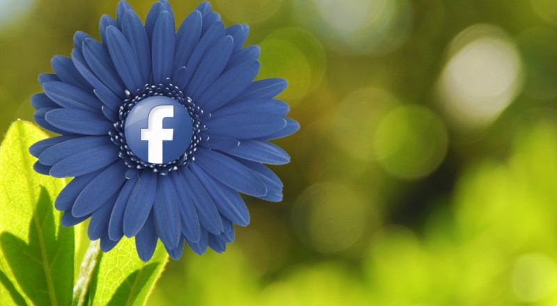 Facebook logo in a blue flower