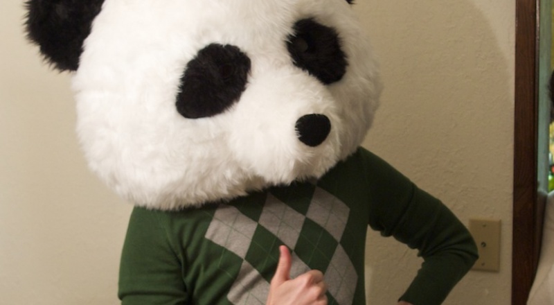 Person wearing panda head costume